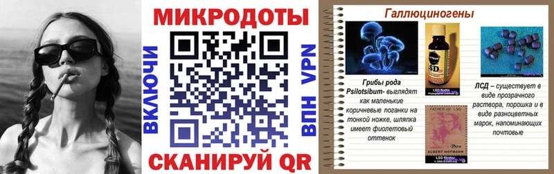Галлюциногенные грибы Psilocybine cubensis  Изобильный 