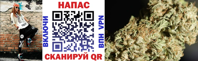 Канабис Bruce Banner  Изобильный 